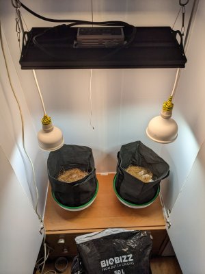 PXL_20230424_002234160.jpg PXL_20230424_002234160.jpg