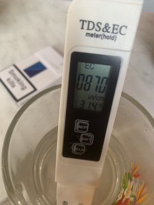 IMG_0914.jpeg IMG_0914.jpeg