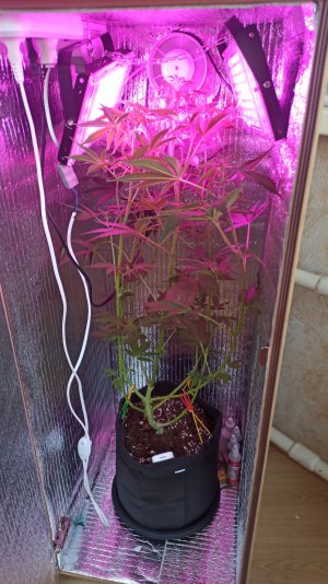 IMG_2023_05_03_15_08_01_9212111618801368804351.jpg IMG_2023_05_03_15_08_01_9212111618801368804351.jpg