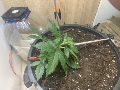 IMG_0922.jpeg IMG_0922.jpeg