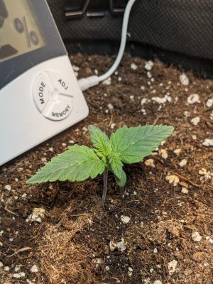 PXL_20230502_200043560.jpg PXL_20230502_200043560.jpg