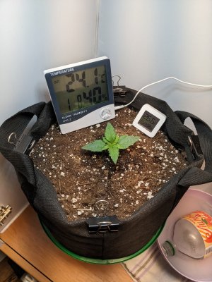 PXL_20230504_234605724.jpg PXL_20230504_234605724.jpg