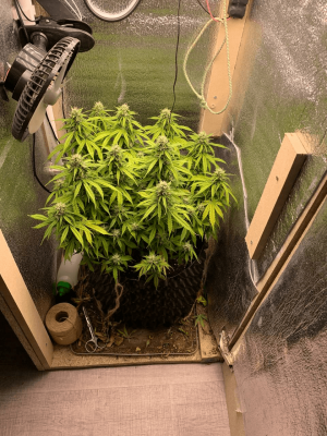 1683367249116.png 1683367249116.png