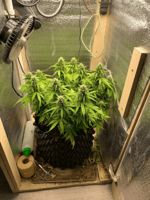 1683367264783.png 1683367264783.png