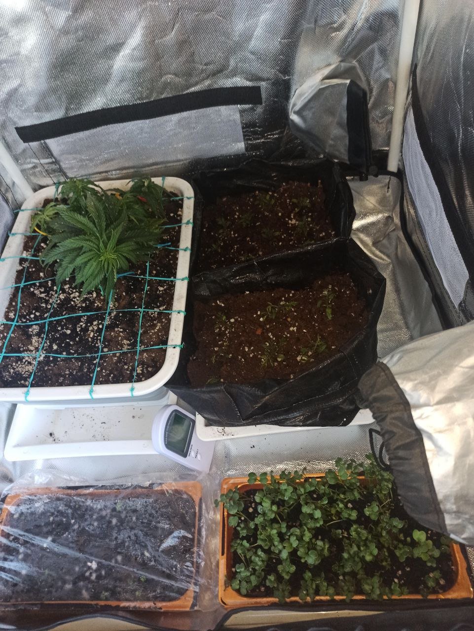 photo_2023-05-08_22-39-07.jpg photo_2023-05-08_22-39-07.jpg