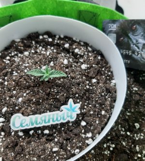 20230512_121226.jpg 20230512_121226.jpg