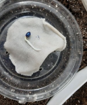 20230512_130310.jpg 20230512_130310.jpg