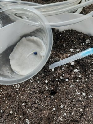 20230512_130323.jpg 20230512_130323.jpg