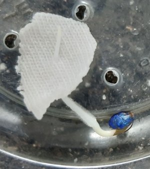 20230425_175604.jpg 20230425_175604.jpg