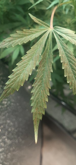 20230512_154329.jpg 20230512_154329.jpg