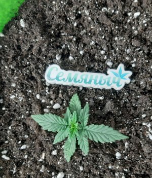 20230513_173018.jpg 20230513_173018.jpg