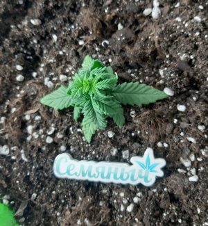 20230513_173047.jpg 20230513_173047.jpg