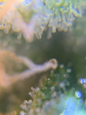 1684086781415.png 1684086781415.png