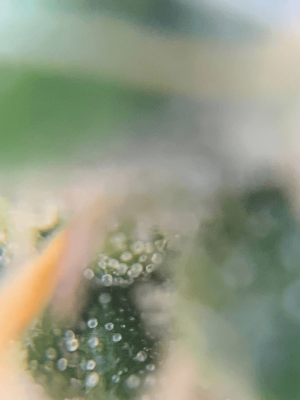 1684086804006.png 1684086804006.png