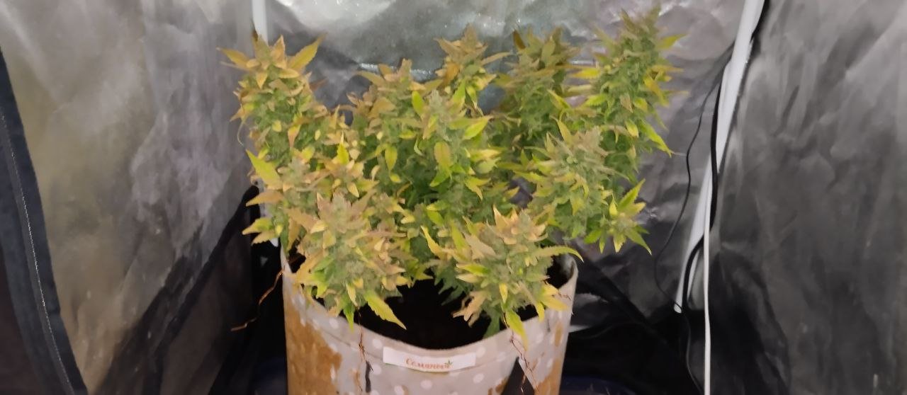 photo_2023-05-15_17-11-49.jpg photo_2023-05-15_17-11-49.jpg