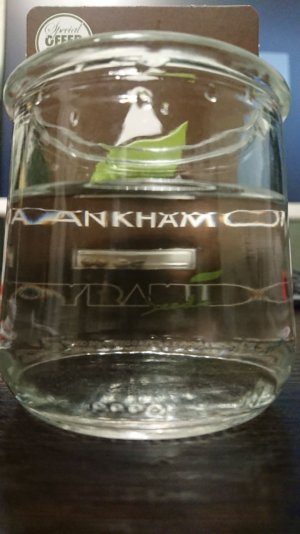 photo_2023-05-16_21-28-21.jpg photo_2023-05-16_21-28-21.jpg