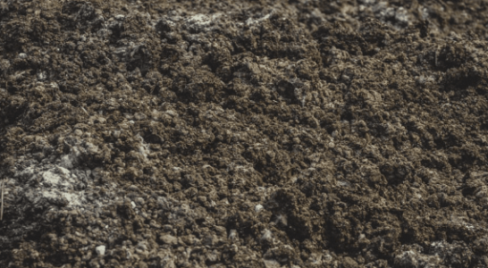 1684415164298.png 1684415164298.png