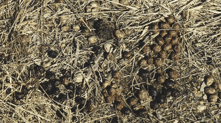 1684415192873.png 1684415192873.png