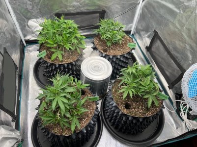 48845BAB-86D0-4042-976E-3BC2B20C6389.jpeg 48845BAB-86D0-4042-976E-3BC2B20C6389.jpeg