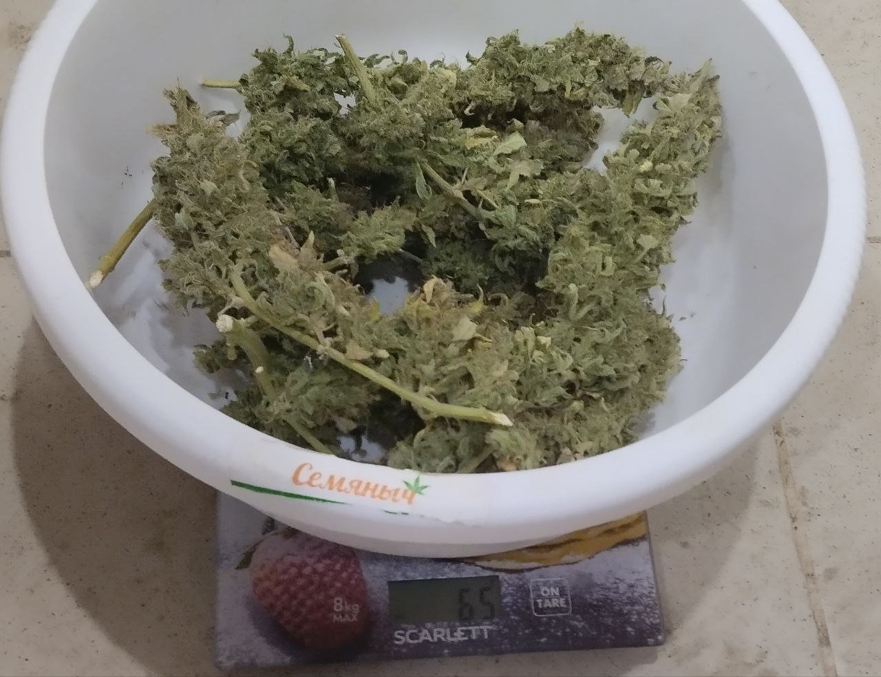 photo_2023-05-27_13-31-03.jpg photo_2023-05-27_13-31-03.jpg