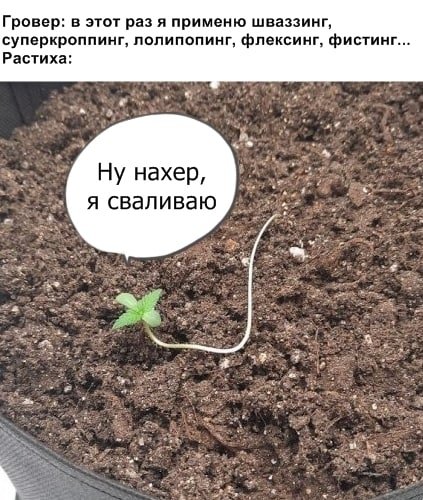 IMG_4964.jpeg IMG_4964.jpeg