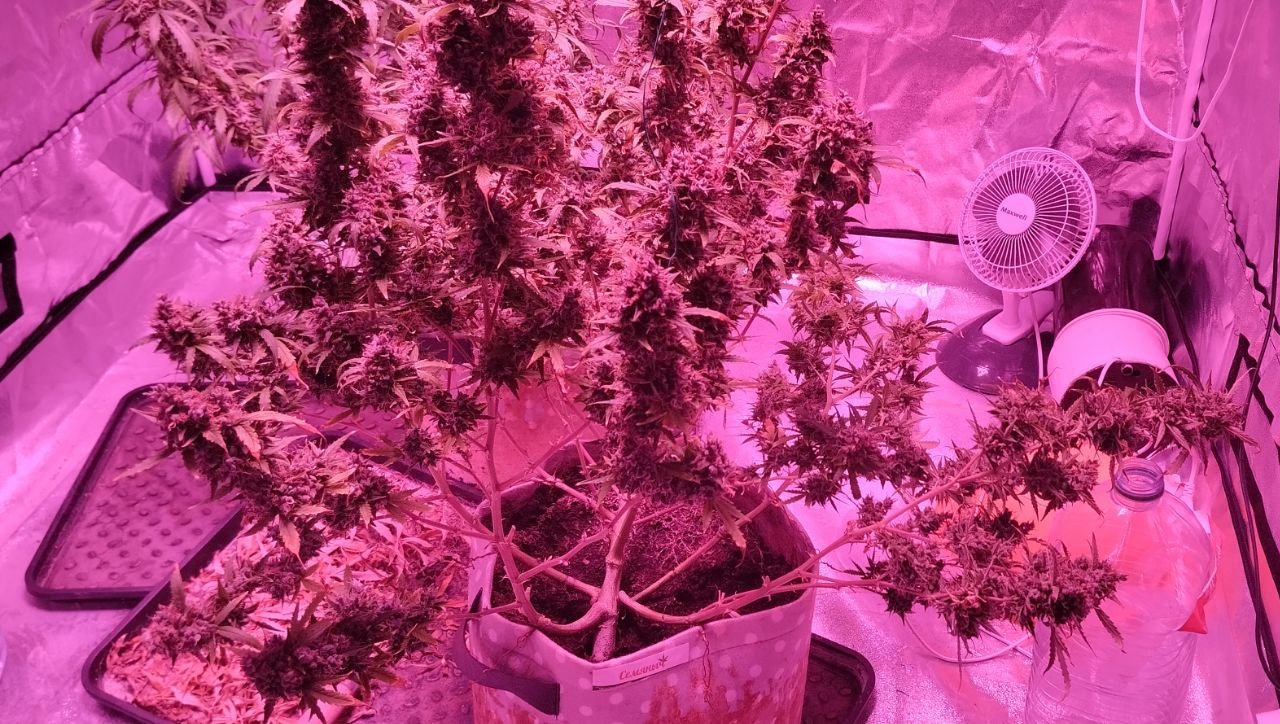 photo_2023-06-01_22-32-25.jpg photo_2023-06-01_22-32-25.jpg