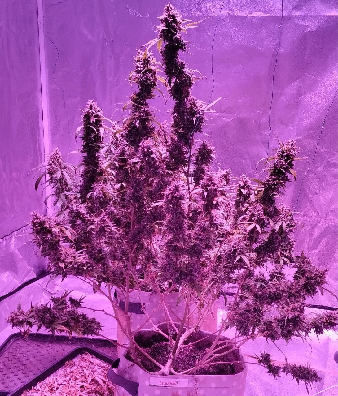 photo_2023-06-01_22-32-24.jpg photo_2023-06-01_22-32-24.jpg