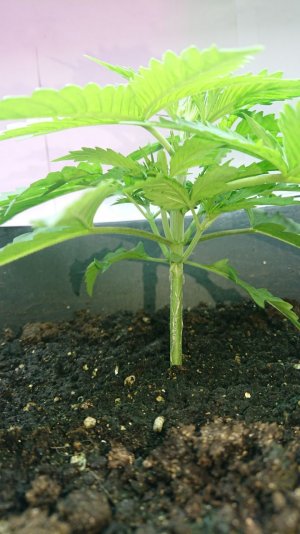 photo_1_2023-06-07_00-28-01.jpg photo_1_2023-06-07_00-28-01.jpg