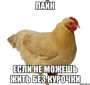 IMG_4032.jpeg IMG_4032.jpeg