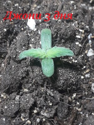 photo_2023-06-08_09-45-15.jpg photo_2023-06-08_09-45-15.jpg