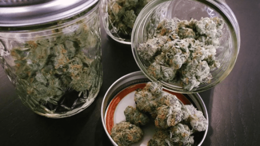 Hranenir shishek konopli.png Hranenir shishek konopli.png