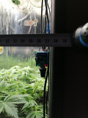 1686601972159.jpg 1686601972159.jpg