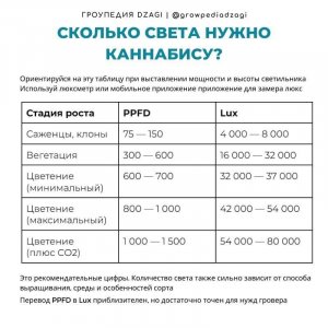 46687f3477739b325e8fb.jpg 46687f3477739b325e8fb.jpg