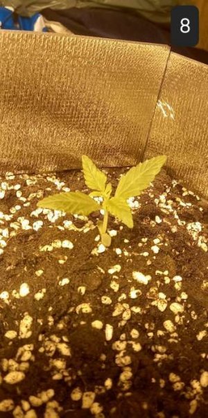 20230617_184357.jpg 20230617_184357.jpg