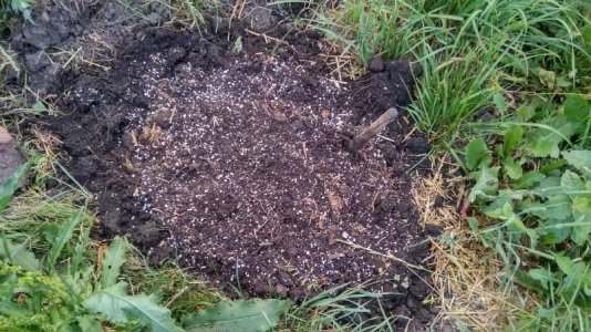 IMG_20230619_202331.jpg IMG_20230619_202331.jpg