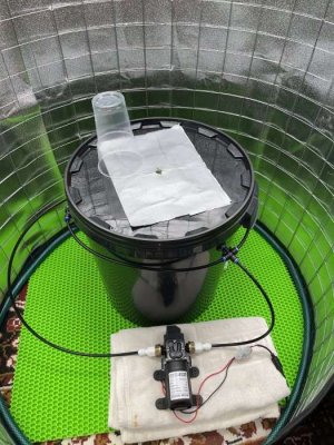 IMG_0508.JPG IMG_0508.JPG