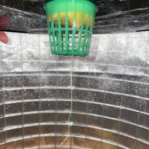 IMG_0571.jpg IMG_0571.jpg