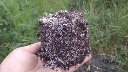 IMG_20230620_202005 .jpg IMG_20230620_202005 .jpg