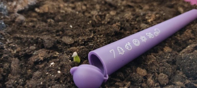 IMG_20230621_153929.jpg IMG_20230621_153929.jpg