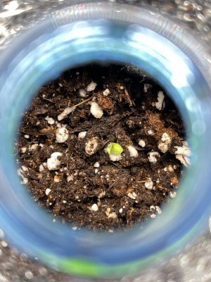 IMG_7630.jpeg IMG_7630.jpeg