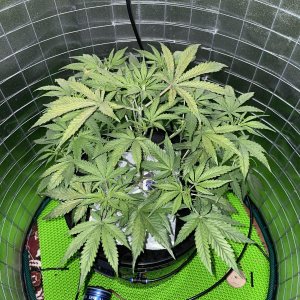 IMG_0789.jpg IMG_0789.jpg