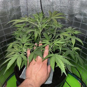 IMG_0792.jpg IMG_0792.jpg