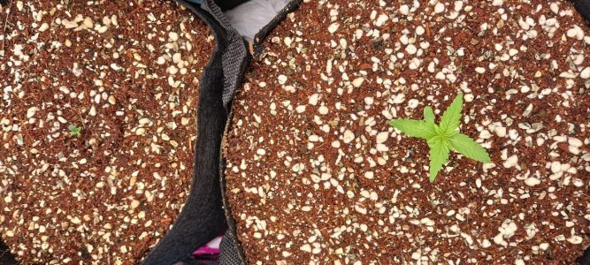 WhatsApp Image 2023-06-23 at 11.26.25.jpeg