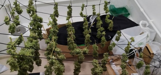 photo_2023-06-23_14-36-37.jpg photo_2023-06-23_14-36-37.jpg