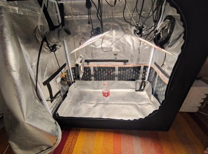 IMG_20230623_211049.jpg IMG_20230623_211049.jpg