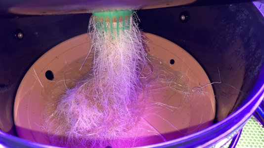 AEFCF97D-EA82-4503-A6A5-25B464E88FA8.jpeg AEFCF97D-EA82-4503-A6A5-25B464E88FA8.jpeg