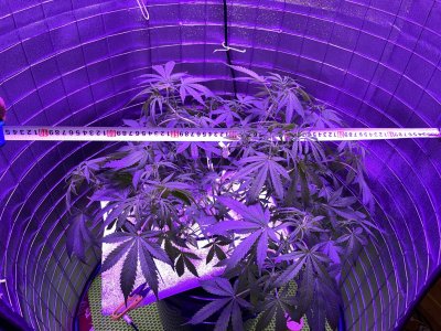 006AA2CD-1596-4BE2-A7B2-F2F6F2D10F02.jpeg 006AA2CD-1596-4BE2-A7B2-F2F6F2D10F02.jpeg