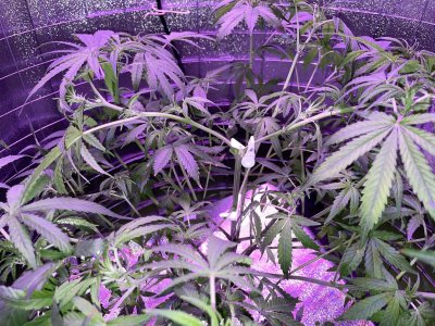 24105653-77C8-4CDA-9942-2109A08F2825.jpeg 24105653-77C8-4CDA-9942-2109A08F2825.jpeg