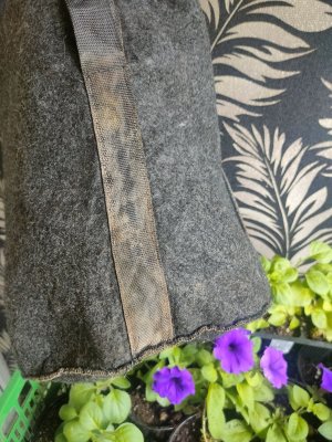 IMG20230630115802.jpg IMG20230630115802.jpg