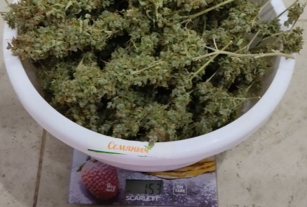 photo_2023-06-30_20-28-19.jpg photo_2023-06-30_20-28-19.jpg